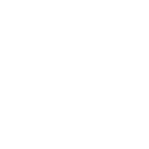 Kims logo